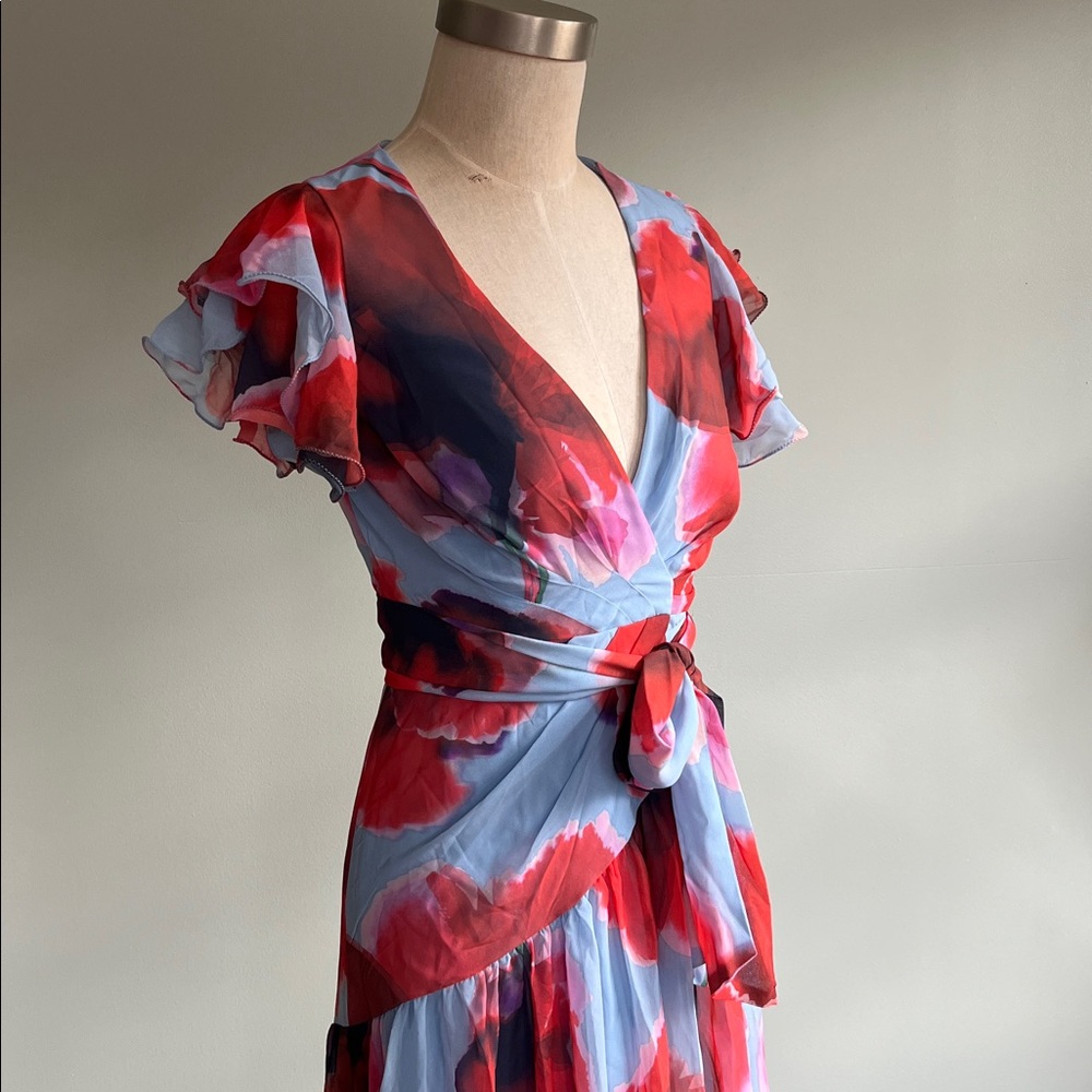 Anthology HUTCH ZOLA FLUTTER-SLEEVE WRAP MAXI DRESS - Picture 7 of 12
